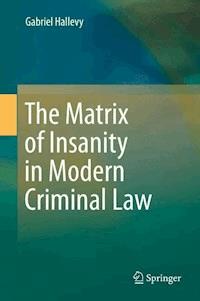The Matrix of Insanity in Modern Criminal Law - Gabriel Hallevy - E-Book