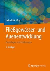 Fließgewässer- und Auenentwicklung - - E-Book