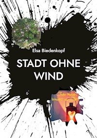 Stadt ohne Wind - Elsa Biedenkopf - E-Book