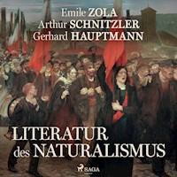 Literatur des Naturalismus - Émile Zola - Hörbuch