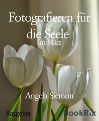 Fotografieren für die Seele - Angela Siemon - E-Book