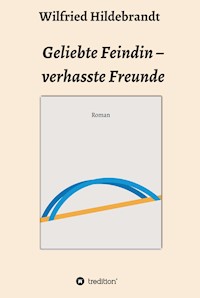 Geliebte Feindin - verhasste Freunde - Wilfried Hildebrandt - E-Book