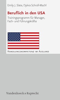 Beruflich in den USA - Emily J. Slate - E-Book
