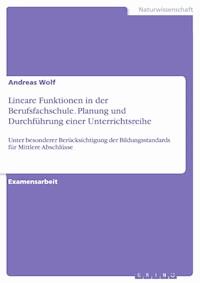 Lineare Funktionen in der Berufsfachschule. Planung und Durchführung einer Unterrichtsreihe - Andreas Wolf - E-Book