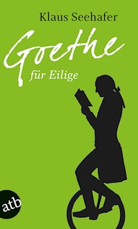 Goethe für Eilige - Klaus Seehafer - E-Book
