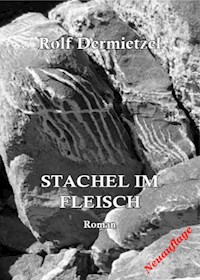Stachel im Fleisch - rolf dermietzel - E-Book