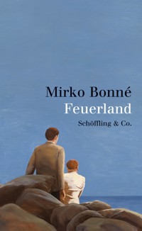 Feuerland - Mirko Bonné - E-Book