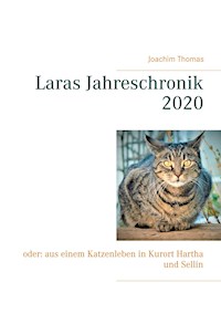 Laras Jahreschronik 2020 - Thomas Joachim - E-Book