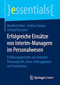 Erfolgreiche Einsätze von Interim-Managern im Personalwesen - Manfred Faber - E-Book