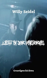 Licht in der Finsternis - Willy Seidel - E-Book