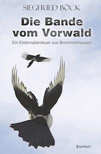 Die Bande vom Vorwald - Siegfried Böck - E-Book