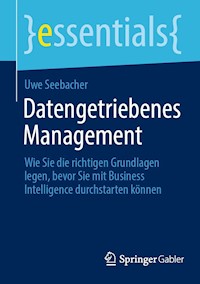 Datengetriebenes Management - Uwe Seebacher - E-Book