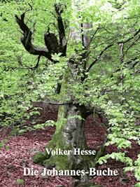 Die Johannes-Buche - Volker Hesse - E-Book