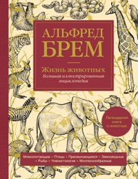 Жизнь животных. Большая иллюстрированная энциклопедия - Альфред Брем - E-Book