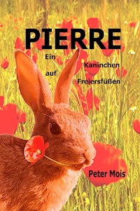 P I E R R E - Peter Mois - E-Book