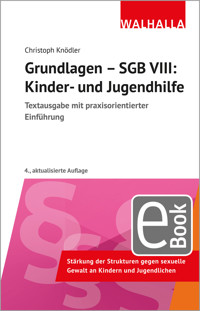 Grundlagen - SGB VIII: Kinder- und Jugendhilfe - Christoph Knödler - E-Book