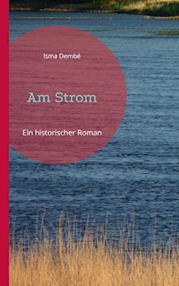 Am Strom - Georg Bergner - E-Book