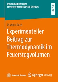 Experimenteller Beitrag zur Thermodynamik im Feuerstegvolumen - Markus Koch - E-Book