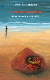 Ausnahmezustand - Carola Köhler-Holderer - E-Book