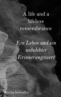 A life and a lifeless remembrance - Sascha Schindler - E-Book