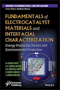 Fundamentals of Electrocatalyst Materials and Interfacial Characterization - Nicolas Alonso-Vante - E-Book