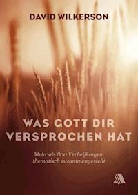 Was Gott dir versprochen hat - David Wilkerson - E-Book