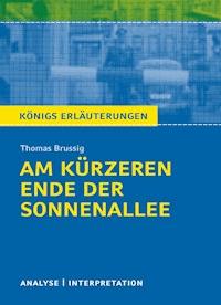 Am kürzeren Ende der Sonnenallee - Thomas Brussig - E-Book