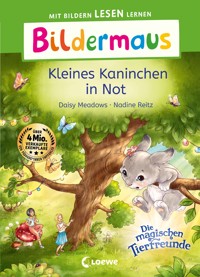 Bildermaus - Kleines Kaninchen in Not - Daisy Meadows - E-Book