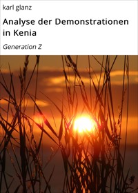 Analyse der Demonstrationen in Kenia - karl glanz - E-Book
