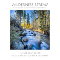 Wilderness Stream (without music) - Peaceful Water Sounds with Deep Forest Ambience - Yella A. Deeken - Hörbuch