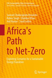 Africa's Path to Net-Zero - Samuel Chukwujindu Nwokolo - E-Book