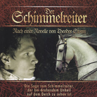 Der Schimmelreiter - Theodor Storm - Hörbuch