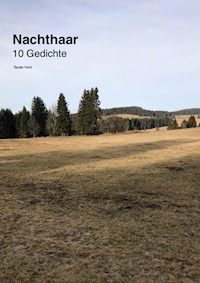 Nachthaar - Beate Hahl - E-Book