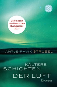 Kältere Schichten der Luft - Antje Rávik Strubel - E-Book