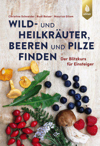 Wild- und Heilkräuter, Beeren und Pilze finden - Christine Schneider - E-Book