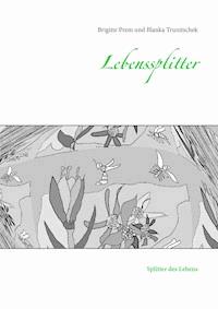 Lebenssplitter - Blanka Trunitschek - E-Book