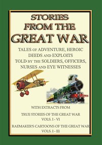 TRUE STORIES from the GREAT WAR - Soldiers Stories and Observations during WWI - Various - E-Book