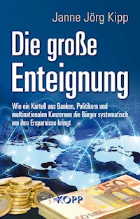 Die große Enteignung - Janne Jörg Kipp - E-Book