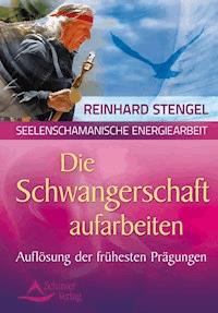 Die Schwangerschaftsmonate aufarbeiten - Reinhard Stengel - E-Book