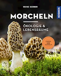 Morcheln - Heinz Gerber - E-Book