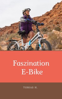 Faszination E-Bike - Tobias Hopfmüller - E-Book