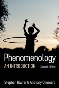 Phenomenology - Stephan Käufer - E-Book