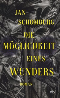 Die Möglichkeit eines Wunders - Jan Schomburg - E-Book