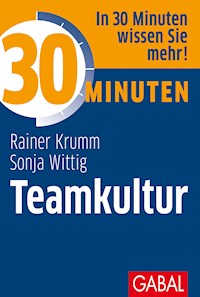 30 Minuten Teamkultur - Rainer Krumm - E-Book