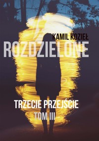 Trzecie przejście - Kamil Kozieł - E-Book