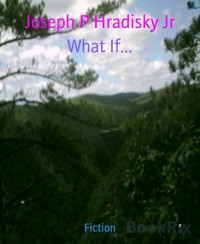 What If... - Joseph P Hradisky Jr - E-Book