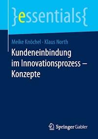 Kundeneinbindung im Innovationsprozess – Konzepte - Meike Knöchel - E-Book