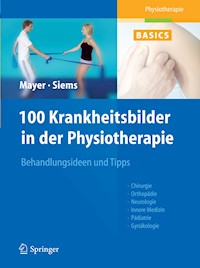 100 Krankheitsbilder in der Physiotherapie - Christine Mayer - E-Book