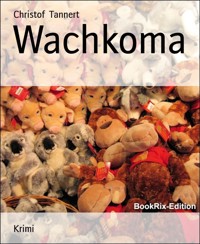 Wachkoma - Christof Tannert - E-Book
