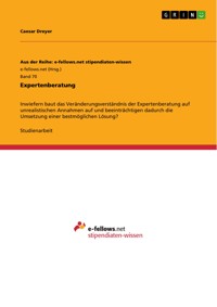 Expertenberatung - Caesar Dreyer - E-Book